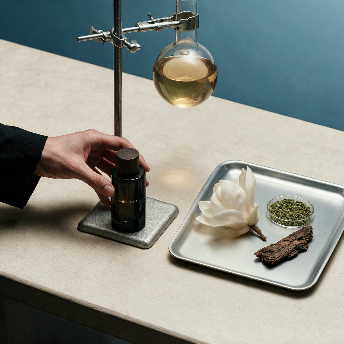 Lluvia de terciopelo-3